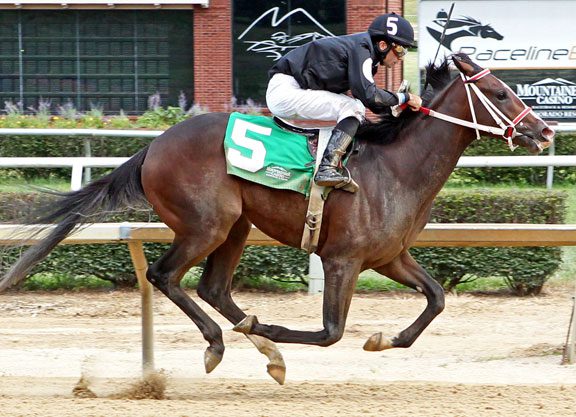 Gone Astray Gets First Stakes Winner in West Virginia