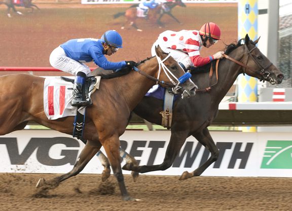 Sky Mesa Filly Earns Rising Star in Close ‘Call’ at Del Mar
