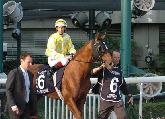 York Next Stop For Criterion