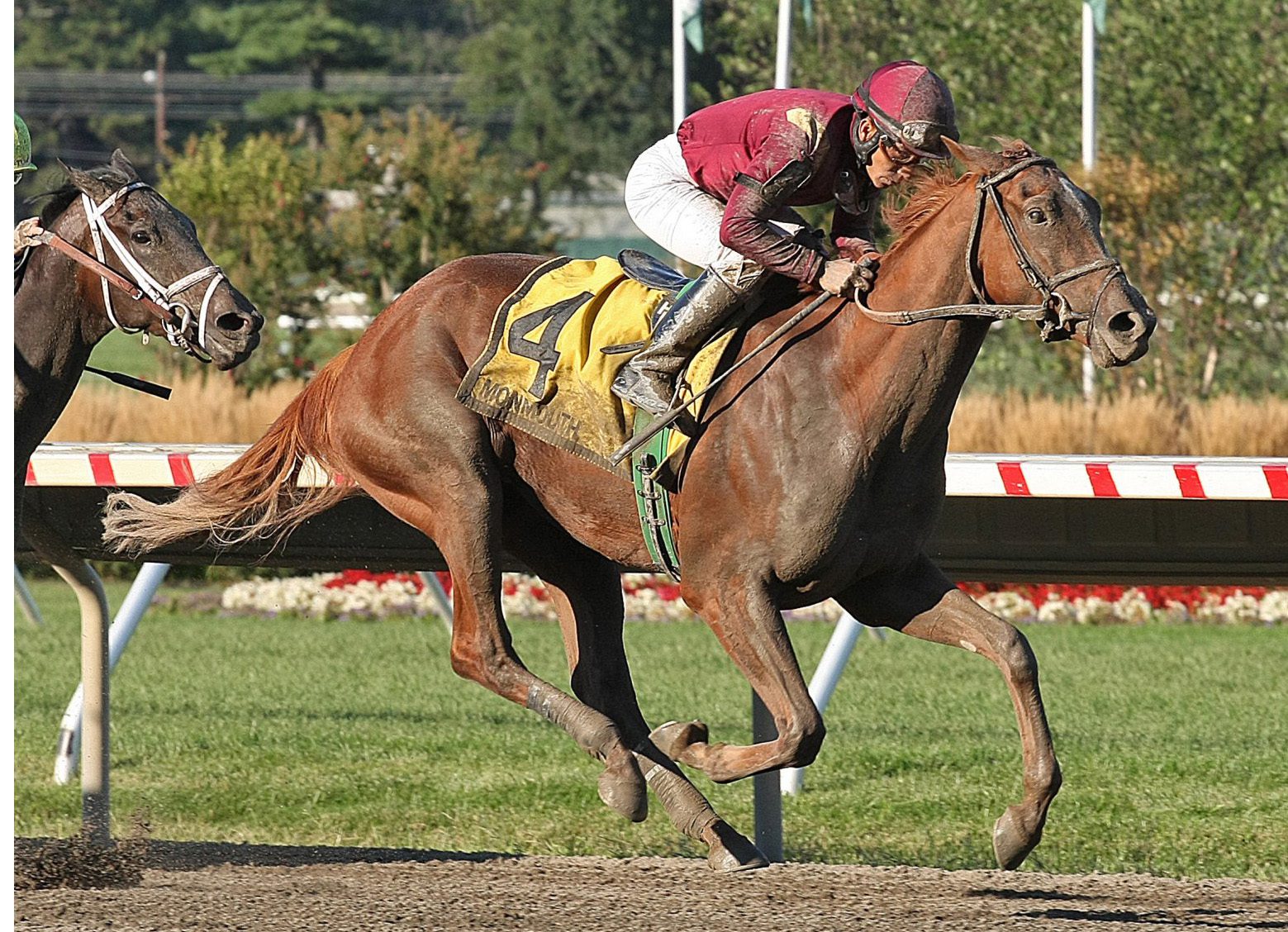 Tapit Filly Scores ‘Delightful’ Victory in Monmouth Oaks