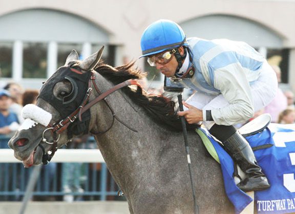 Attfield Runner Looks Live in Ontario Colleen