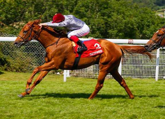Big Plans For Qatari Champion