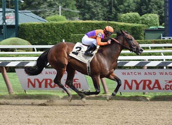 No Excuse Needed for Speedy Line of David Filly