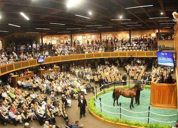 A Two-Million Dollar Tapit