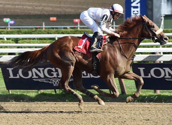 Scat Daddy Colt ‘Flies’ at First Asking at the Spa