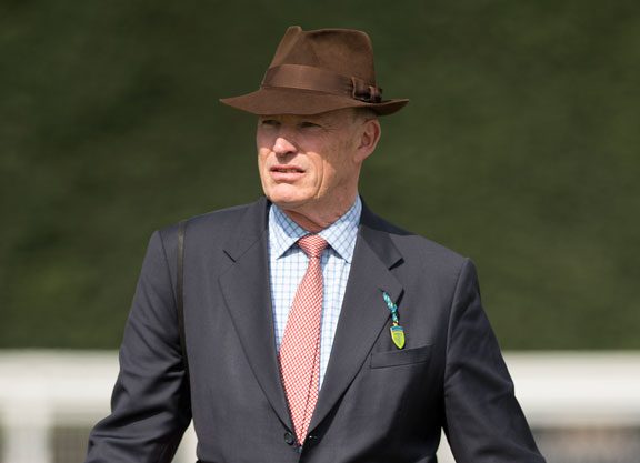 Golden Irish Champion Looming