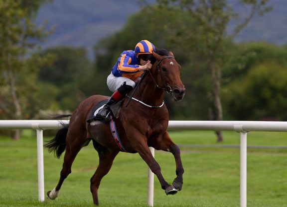 Galileo Colt Impresses At Killarney