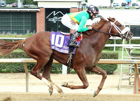 Madefromlucky Scores in WV Derby