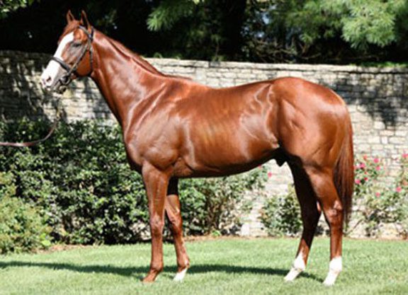 Another Coast-to-Coast Score for Om