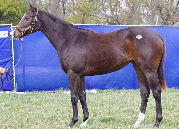 ‘Saturday’ Filly Gives Baffert Momentum Going Into Sunday