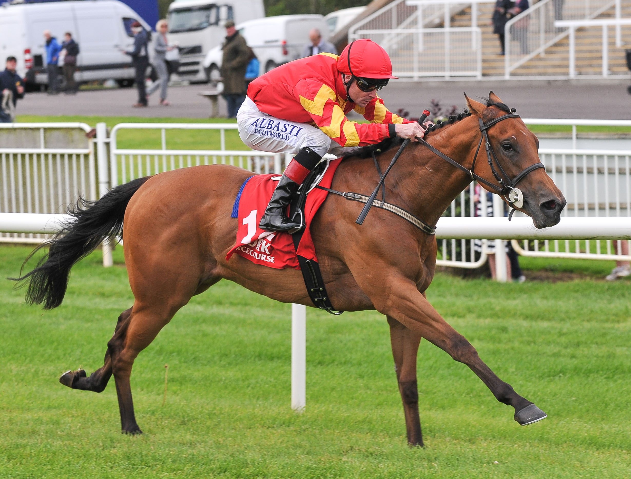 Only Mine Posts First Win For Freshman Sire Pour Moi at Cork