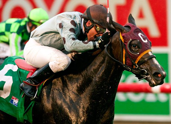 ‘Exhibit’ Has Her Eye on the ‘Prize’