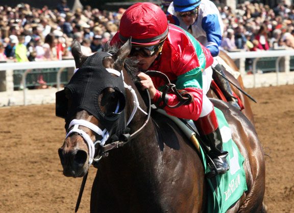 Todd Trio Try to Bounce Back in Fayette