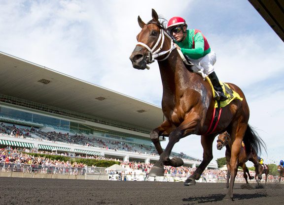 Shogood Proved Too Good in Arlington-Washington Futurity