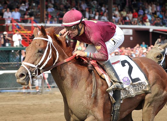 Sheer Drama’s Future Still Undecided