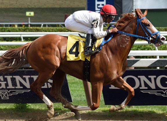 In Sharper Focus: Girolamo’s She’s All Ready
