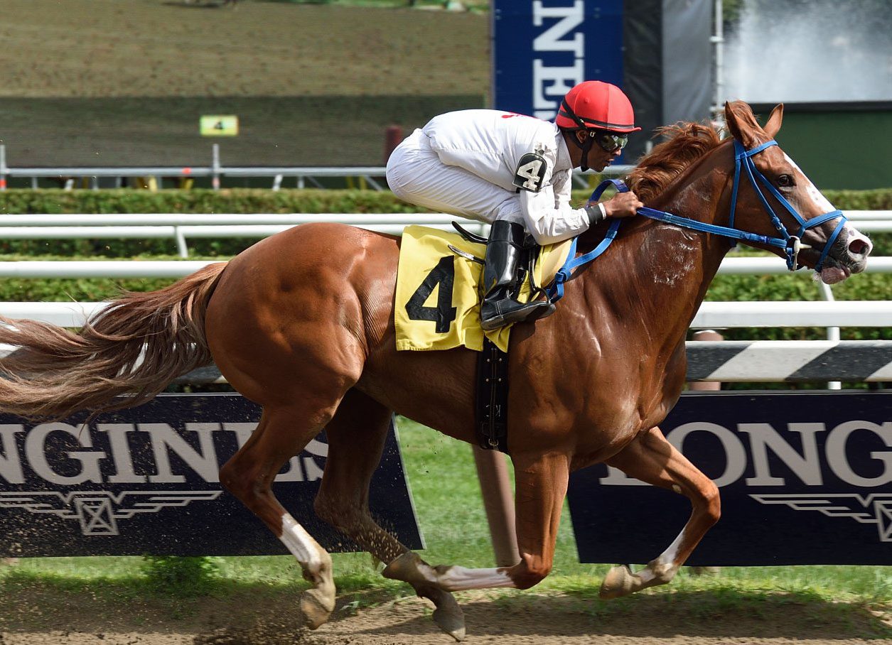 NY-bred Girolamo Filly Earns ‘TDN Rising Star’ Status