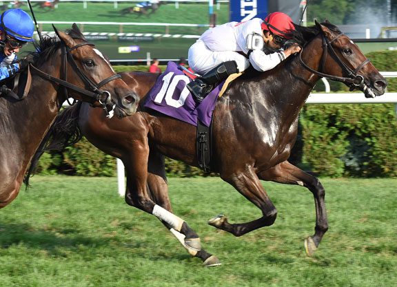 Scat Daddy Filly Wires Turf Affair at Saratoga