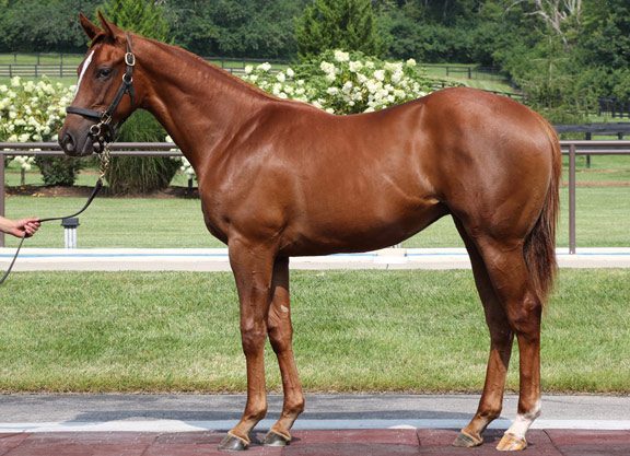 F-T New York Sale Shows Increases