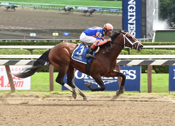 Giant Surprise Colt Becomes Sire’s First Stakes Winner