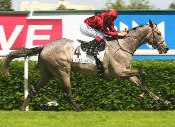 Graffard Plotting Leger Route