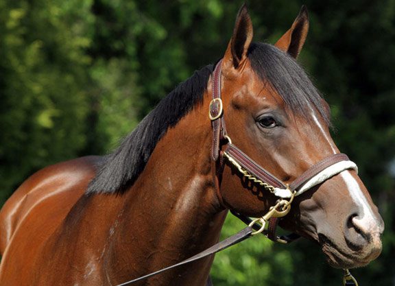 Tale of Verve Feeling ‘OK’