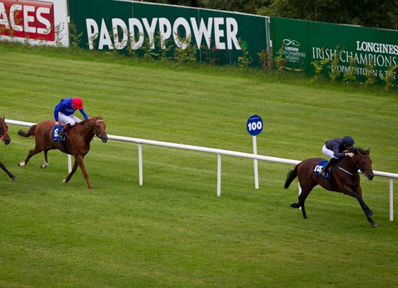 Arqana October Topper Bolts Up at Leopardstown