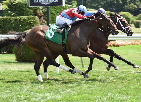 Uncle Mo Filly Wins Debut at the Spa