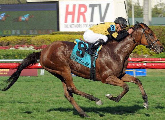 Twilight Eclipse Breezes for Sword Dancer