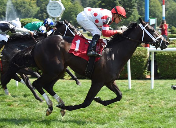 Scat Daddy Colt Newest ‘TDN Rising Star’ at the Spa