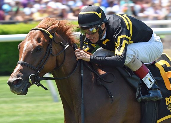 Ward’s Ascot Winners Breeze in KY