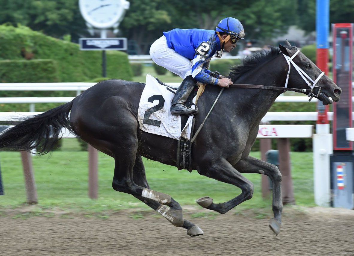 Bernardini Firster Becomes a ‘TDN Rising Star’ at the Spa