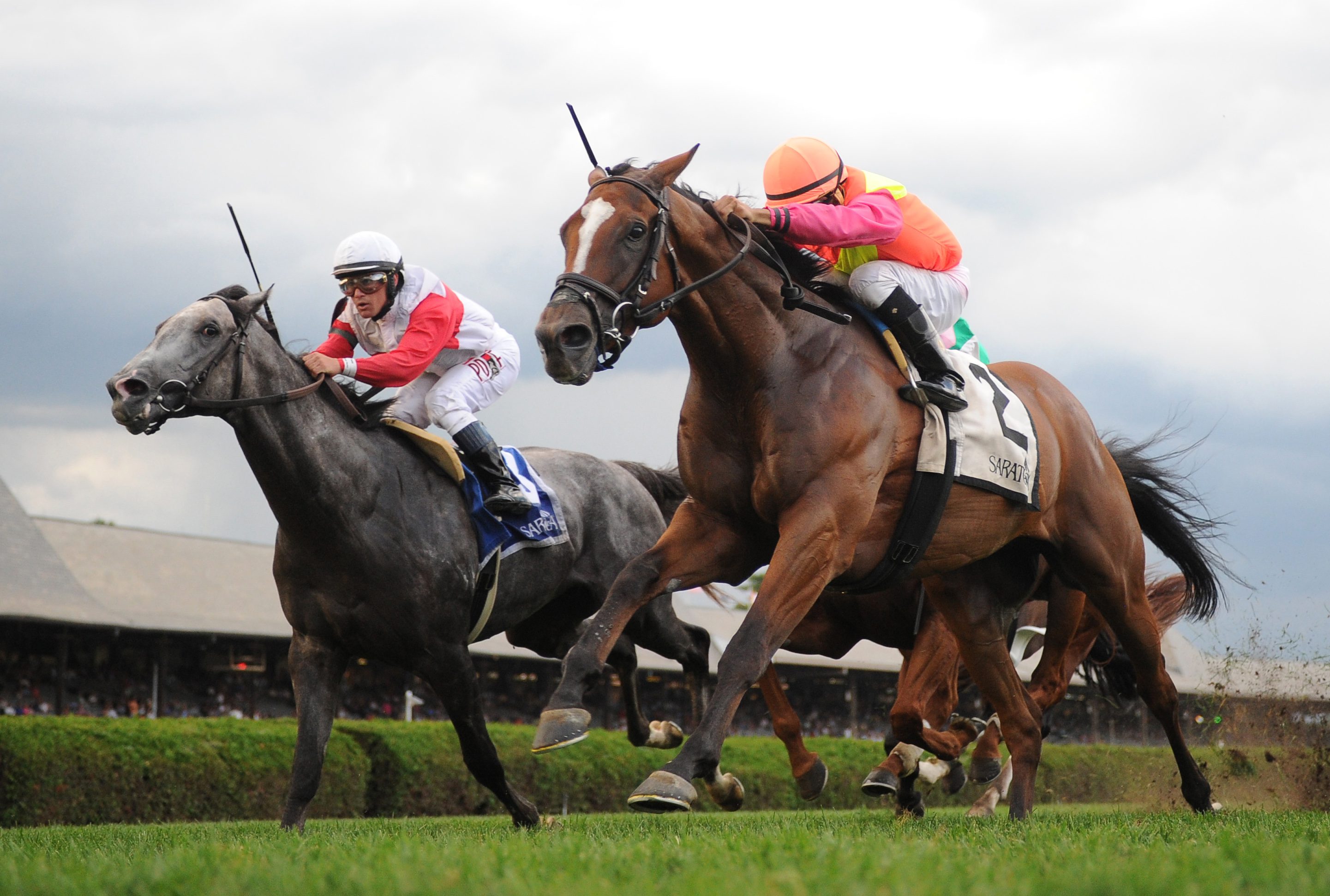 Grand Arch Gets his Fourstardave