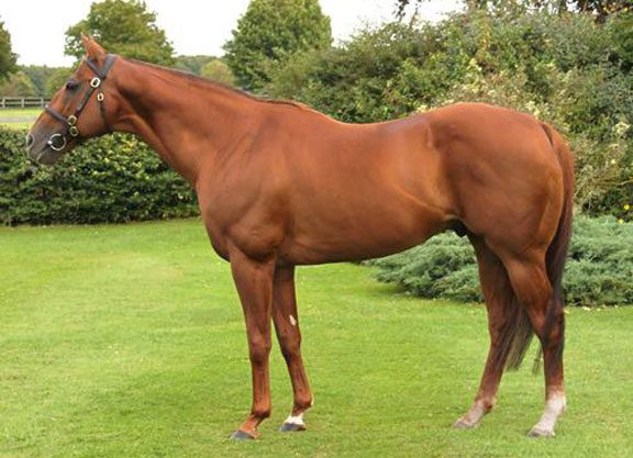 Sweet Solera Success For Bahamian Bounty’s Blue Bayou