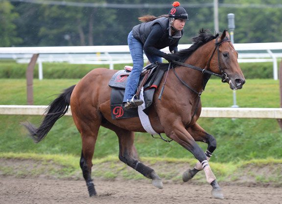 The Big Beast Preps for Forego