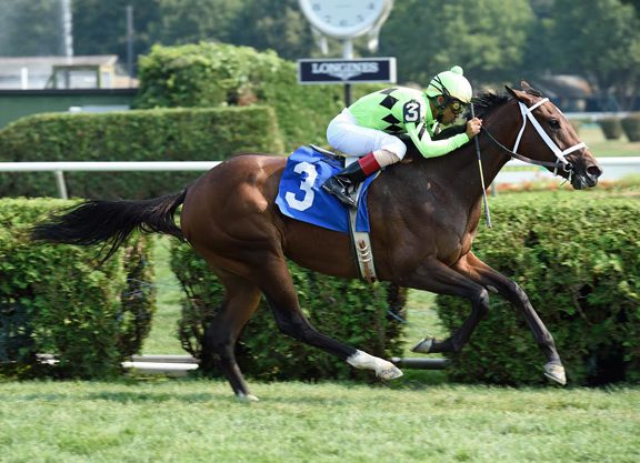 Langfuhr Firster Wires Spa Debut