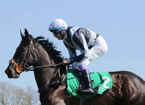 Easy Dance Design Win For Big Bad Bob’s Bocca Baciata