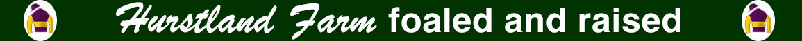 bulletad_-foaled-raised