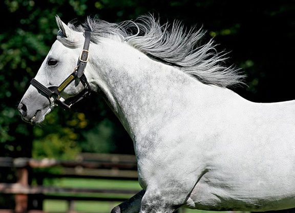Two New Additions To De Bonneval