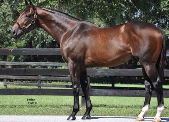 First Dude Filly Victorious at Delaware