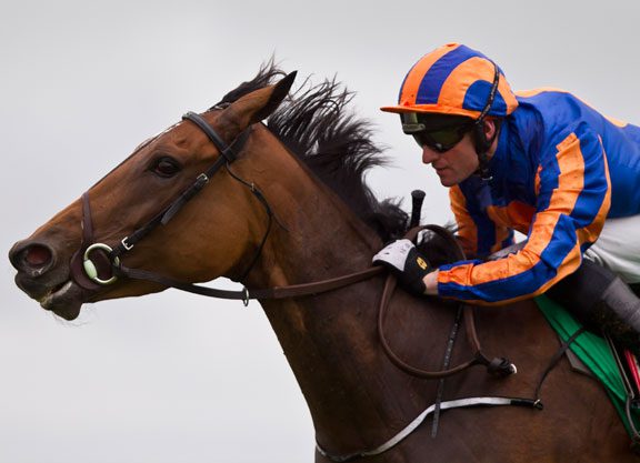 Easy Comeback Win For Galileo’s Found