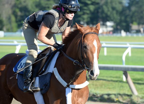 Frammento Looking Good for Travers