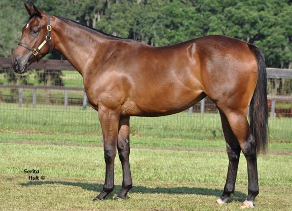 Arch Filly on Top at OBS as Business Holds Steady