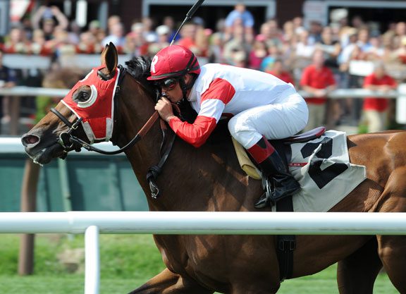 St. Leger a Wide-Open Affair