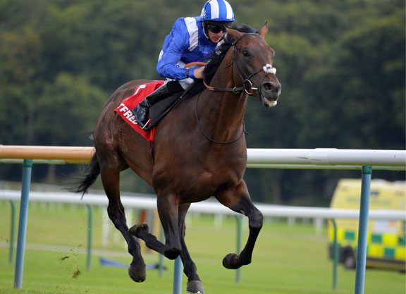 Dynaformer’s Intilaaq Shows His Class At Haydock