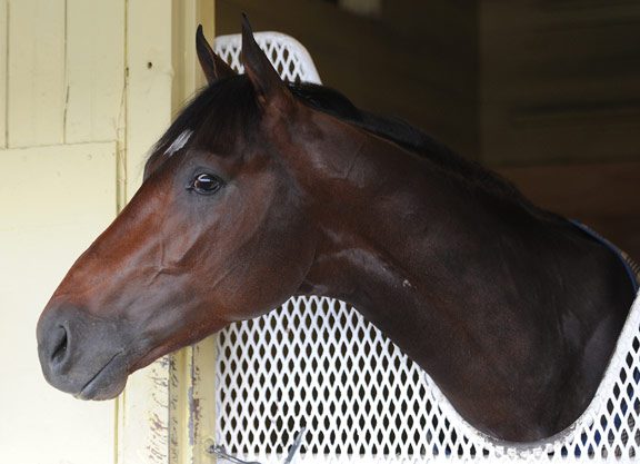 Jess’s Dream Breezed at Saratoga Thursday