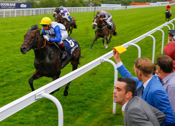 Kodiac’s Kodi Bear On Top In the Celebration Mile