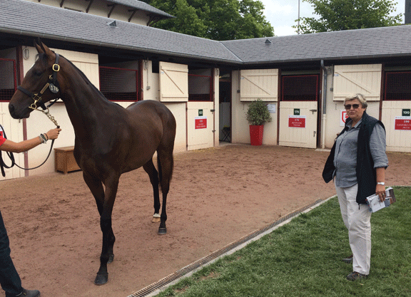 Treve Sister A Jewel At Arqana