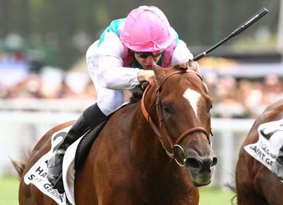 Dubawi’s New Bay Back With a Win in the Guillaume d’Ornano