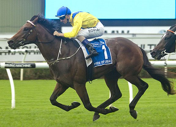 Vancouver Beaten; Pride Of Dubai Out